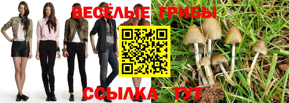 Псилоцибиновые грибы мухоморы Кандалакша